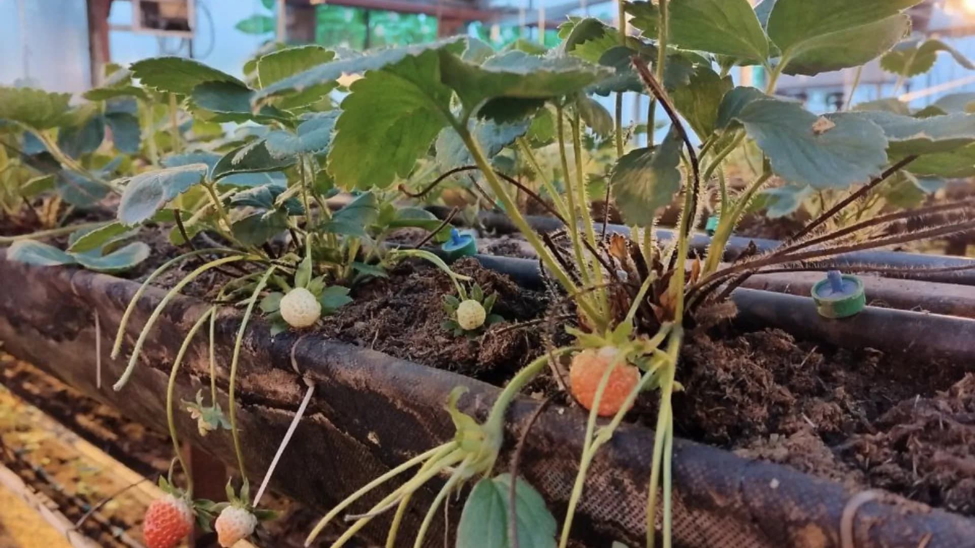 Изображение услуги4