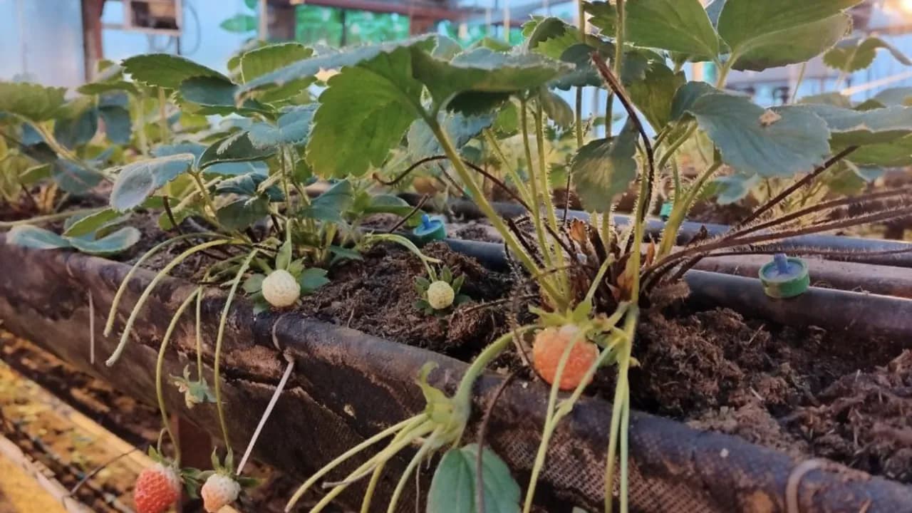 Изображение услуги4