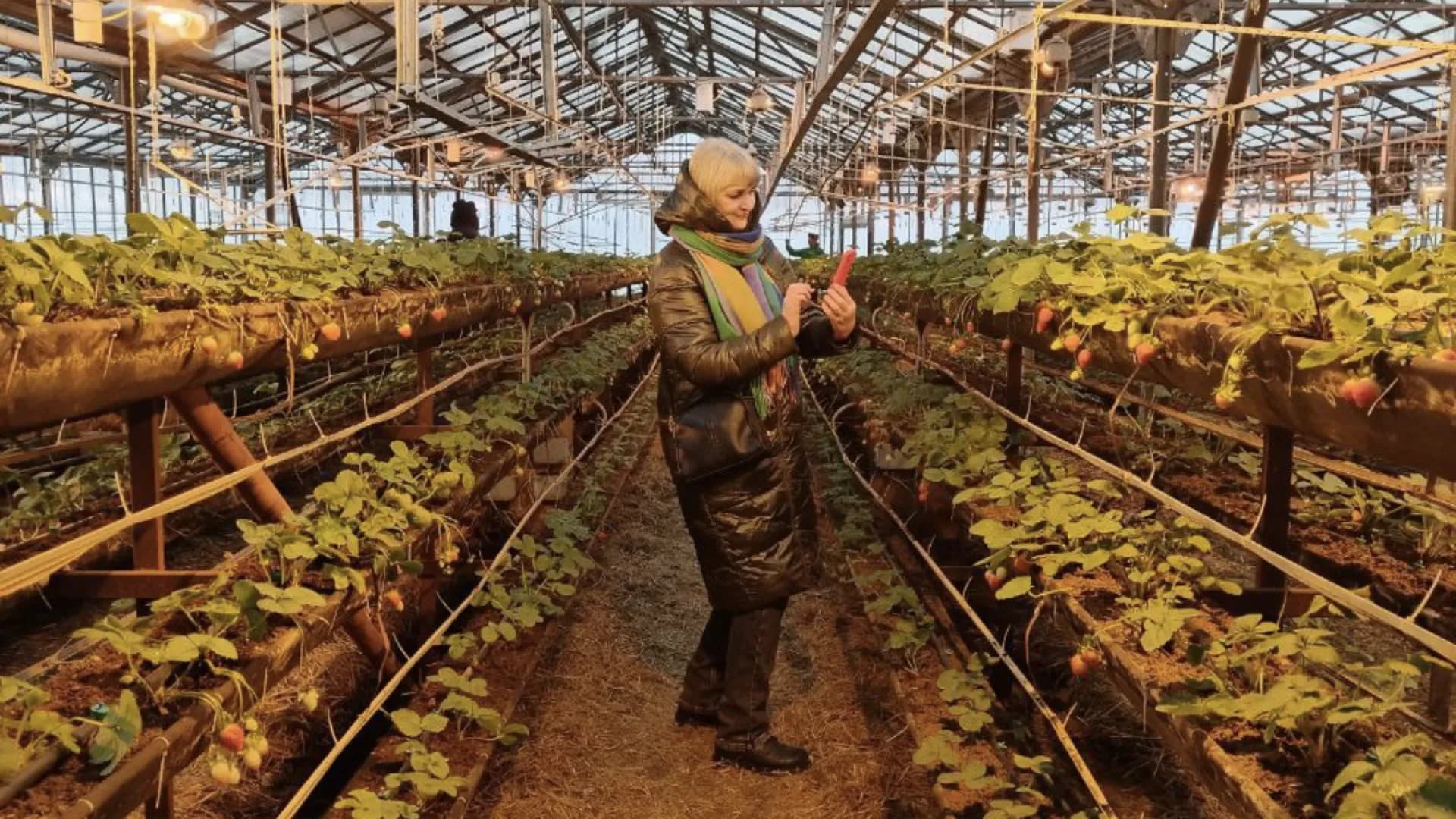 Изображение услуги10