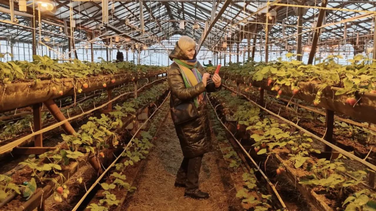 Изображение услуги10