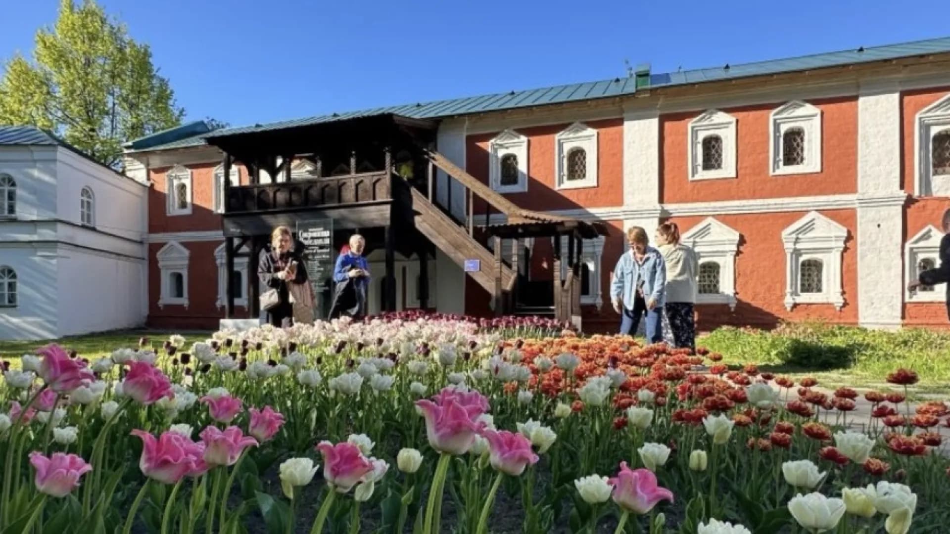 Изображение услуги3