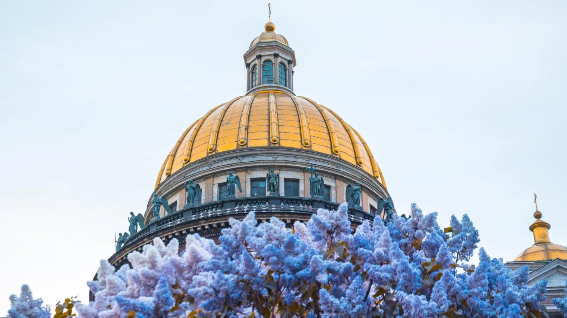 Изображение услуги3