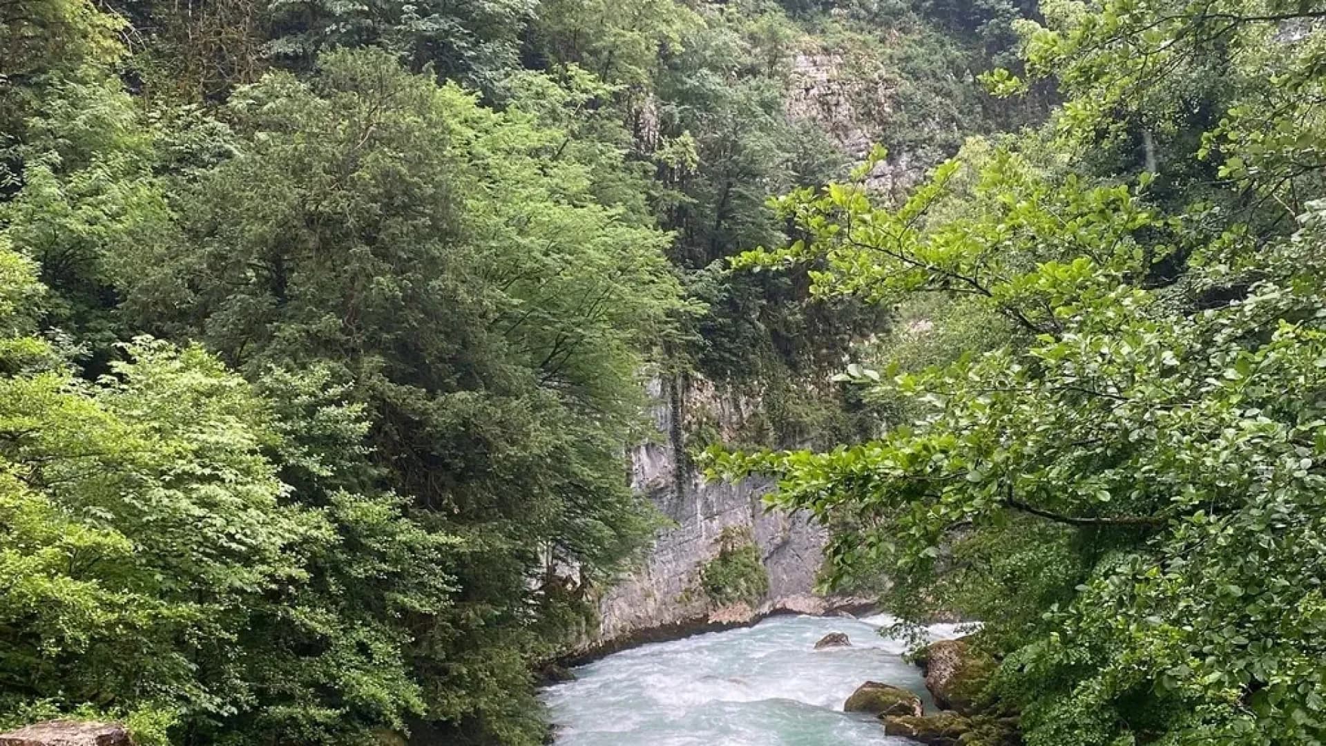 Изображение услуги6