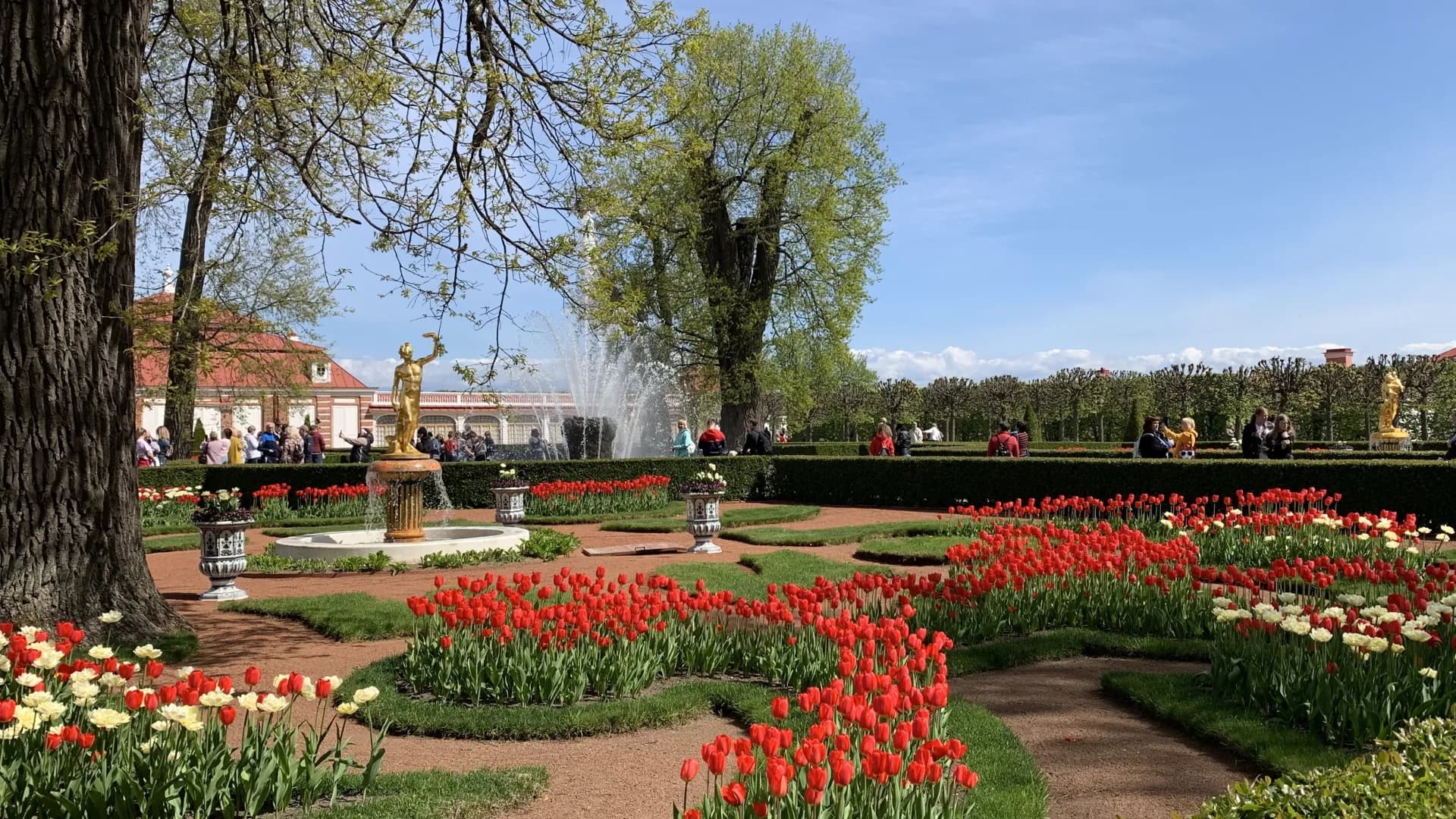 Изображение услуги3