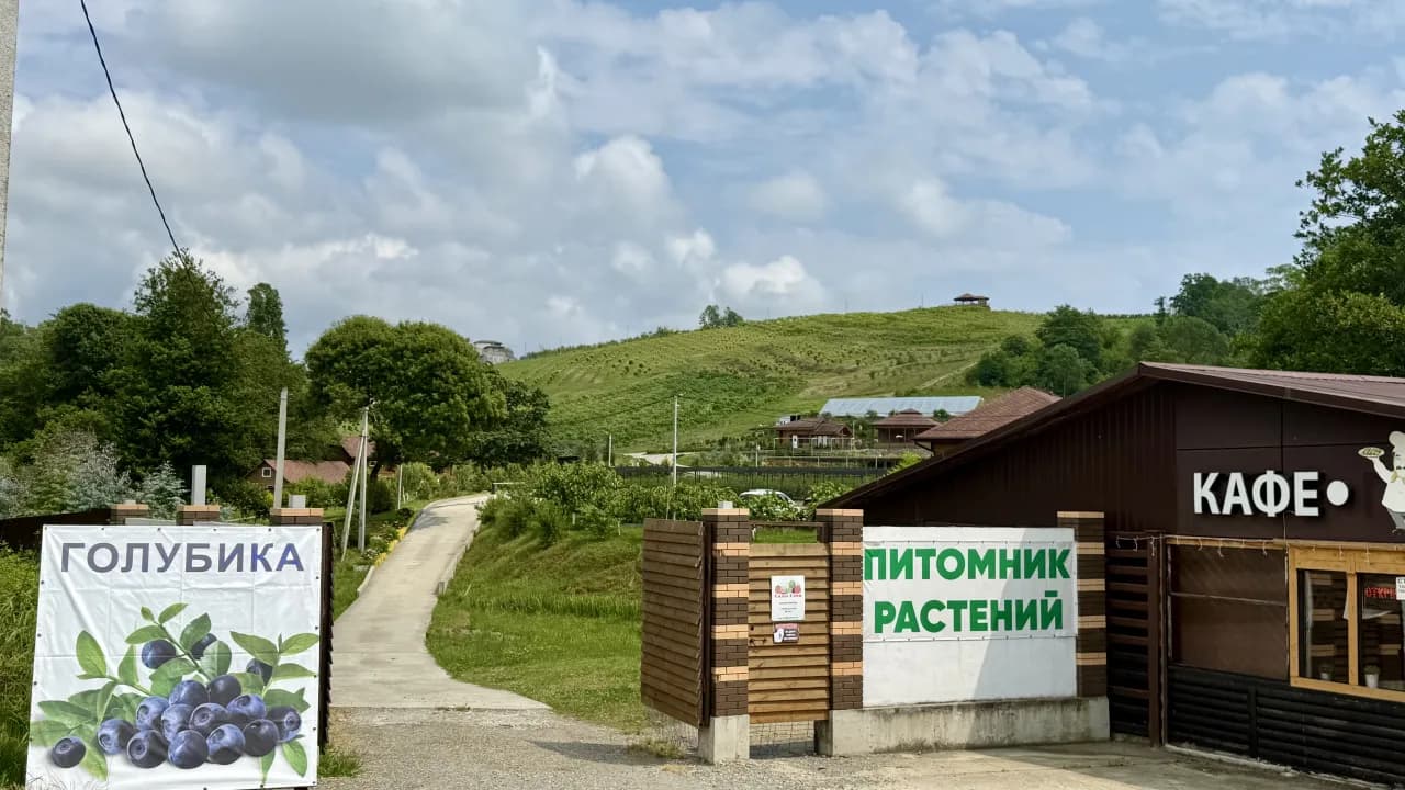 Изображение услуги6