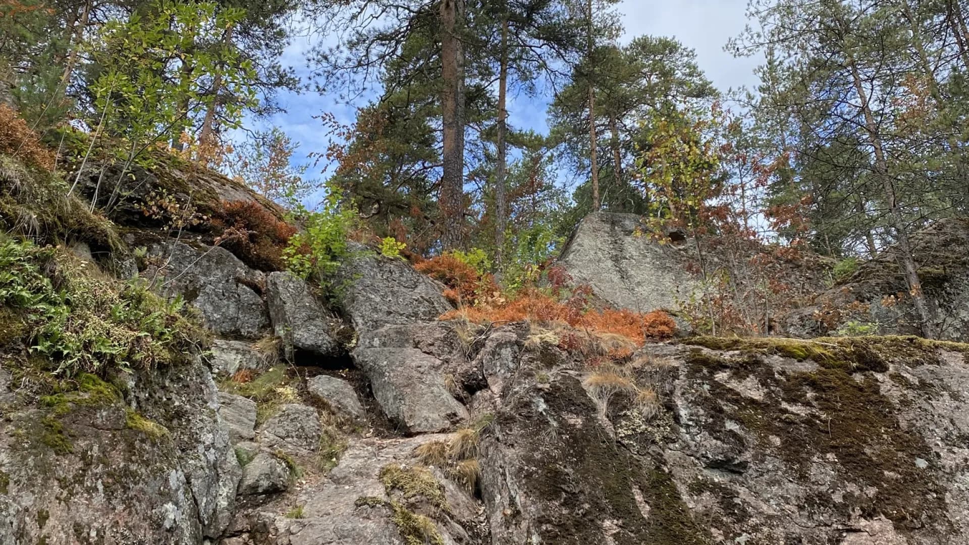 Изображение услуги4