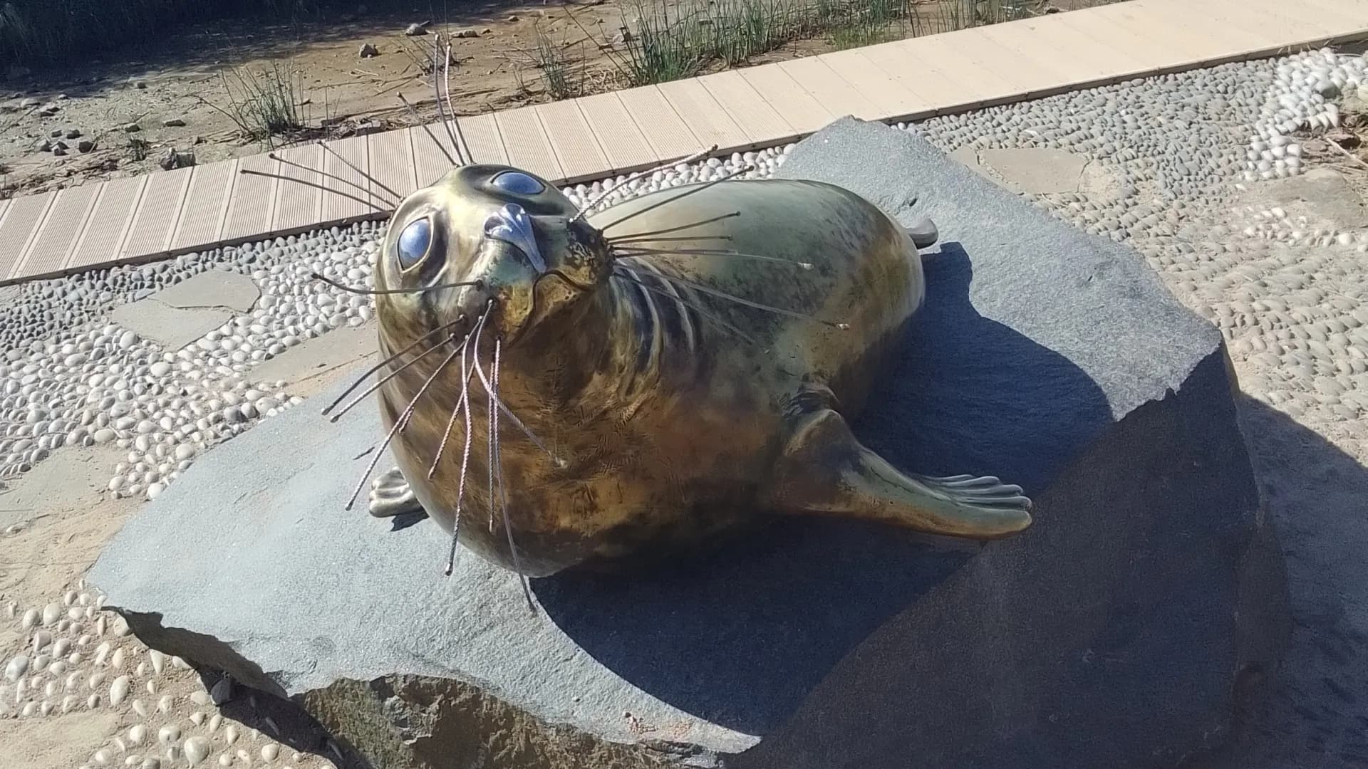 Изображение услуги6