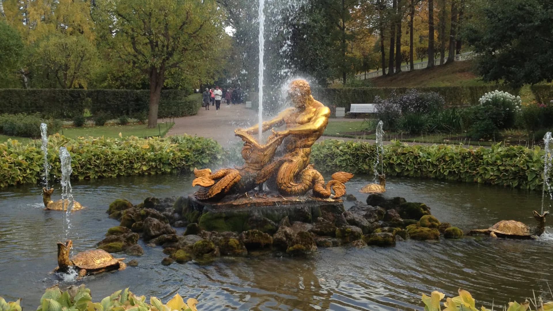 Изображение услуги7