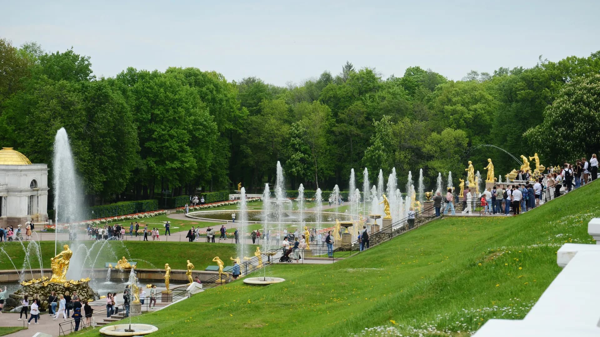 Изображение услуги1