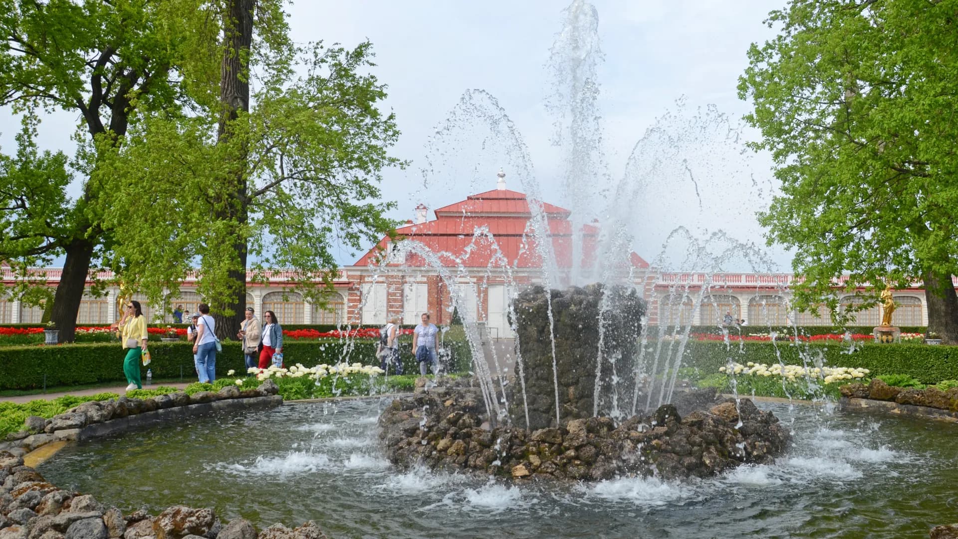 Изображение услуги4