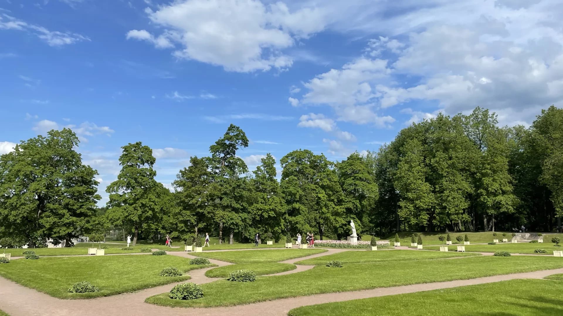 Изображение услуги5