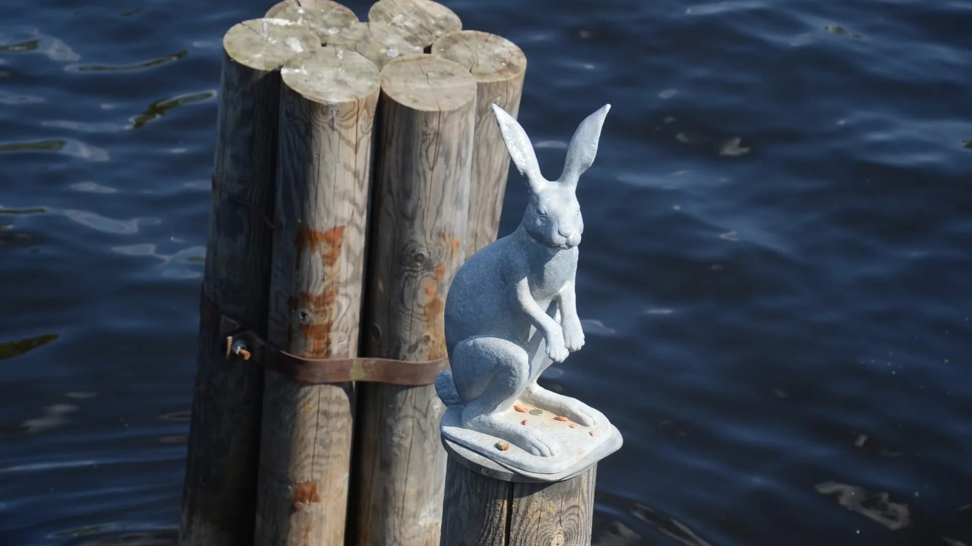 Изображение услуги2