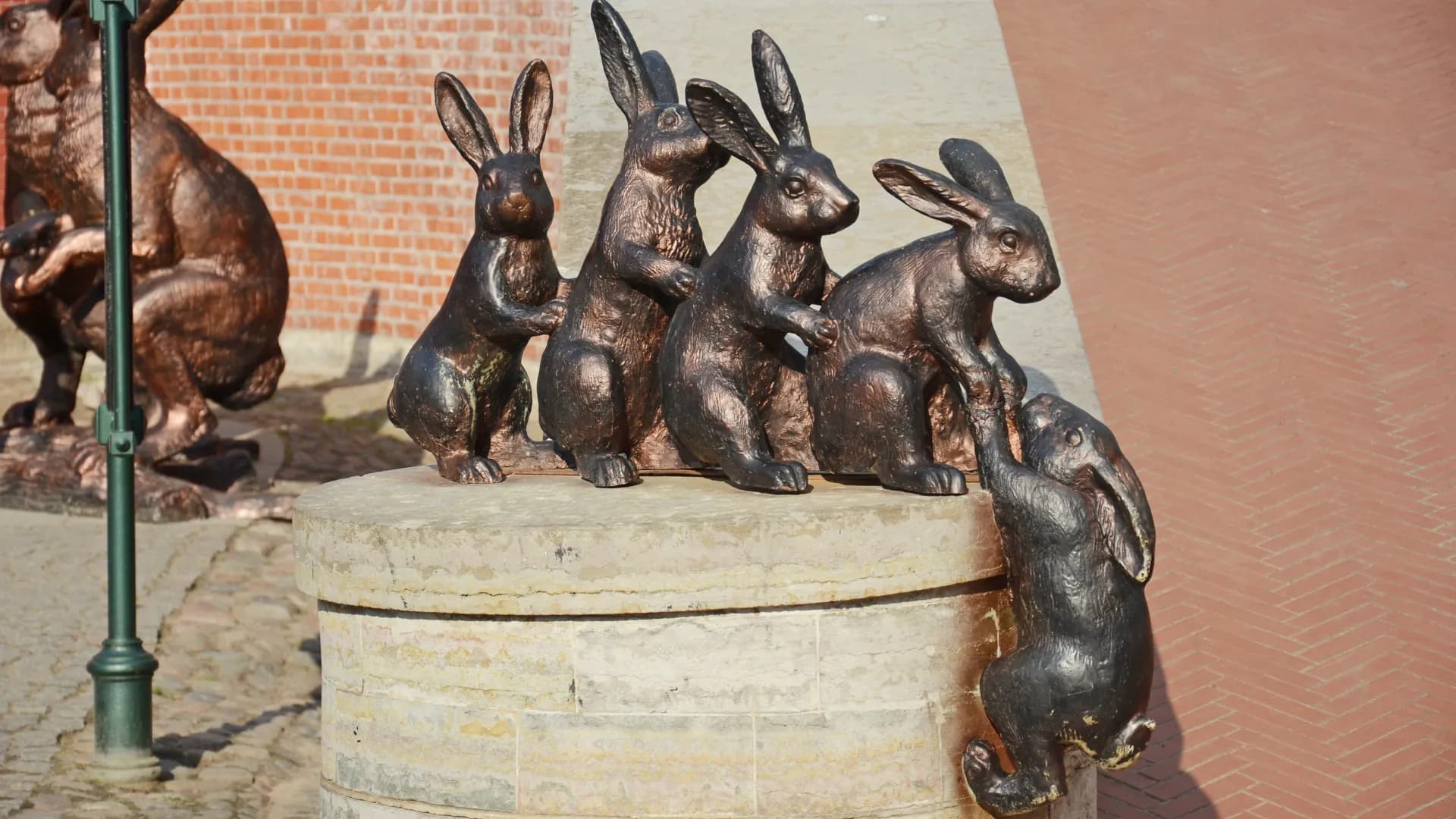 Изображение услуги4