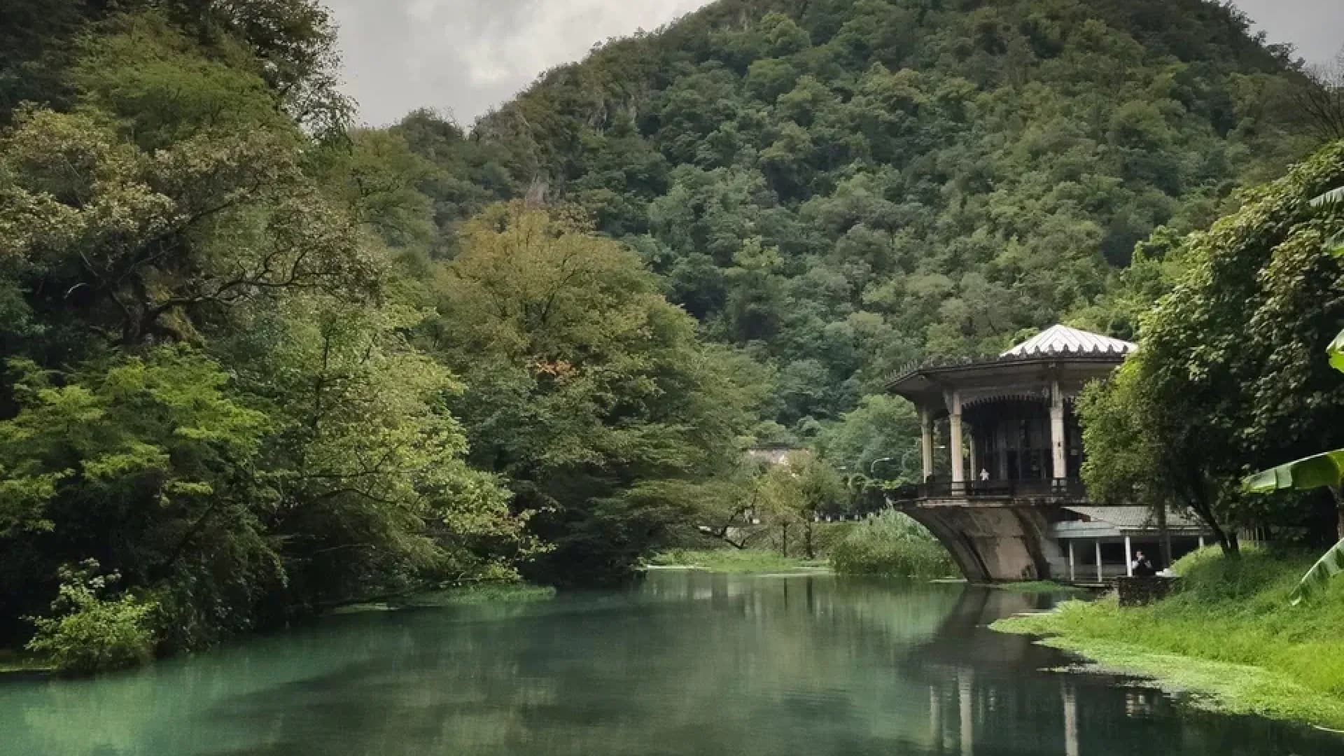 Изображение услуги4