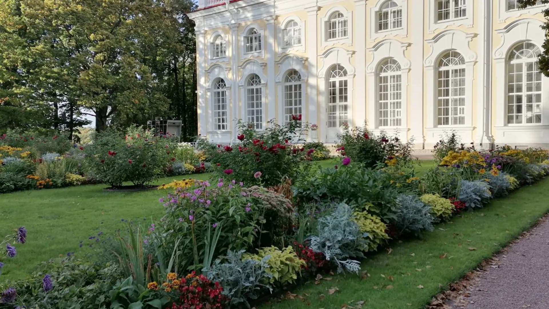 Изображение услуги10