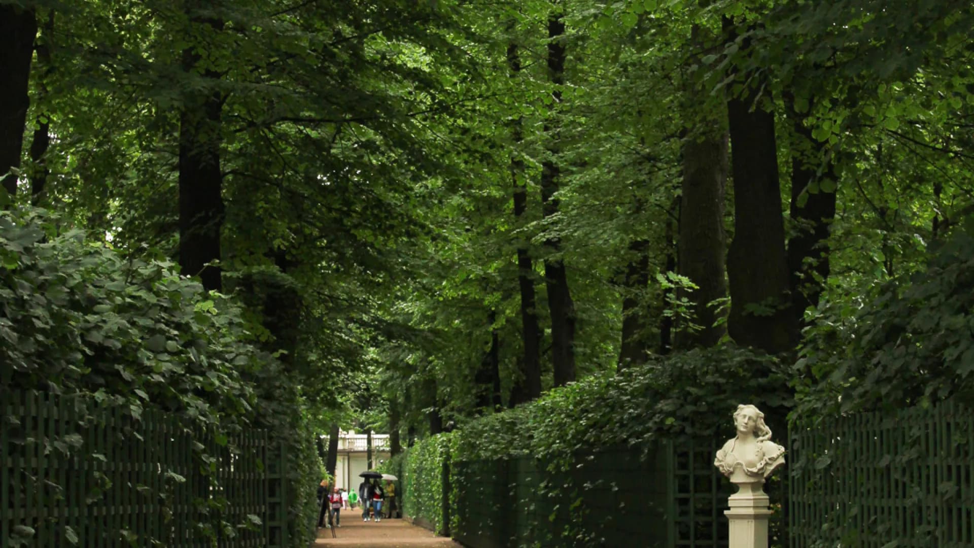 Изображение услуги1