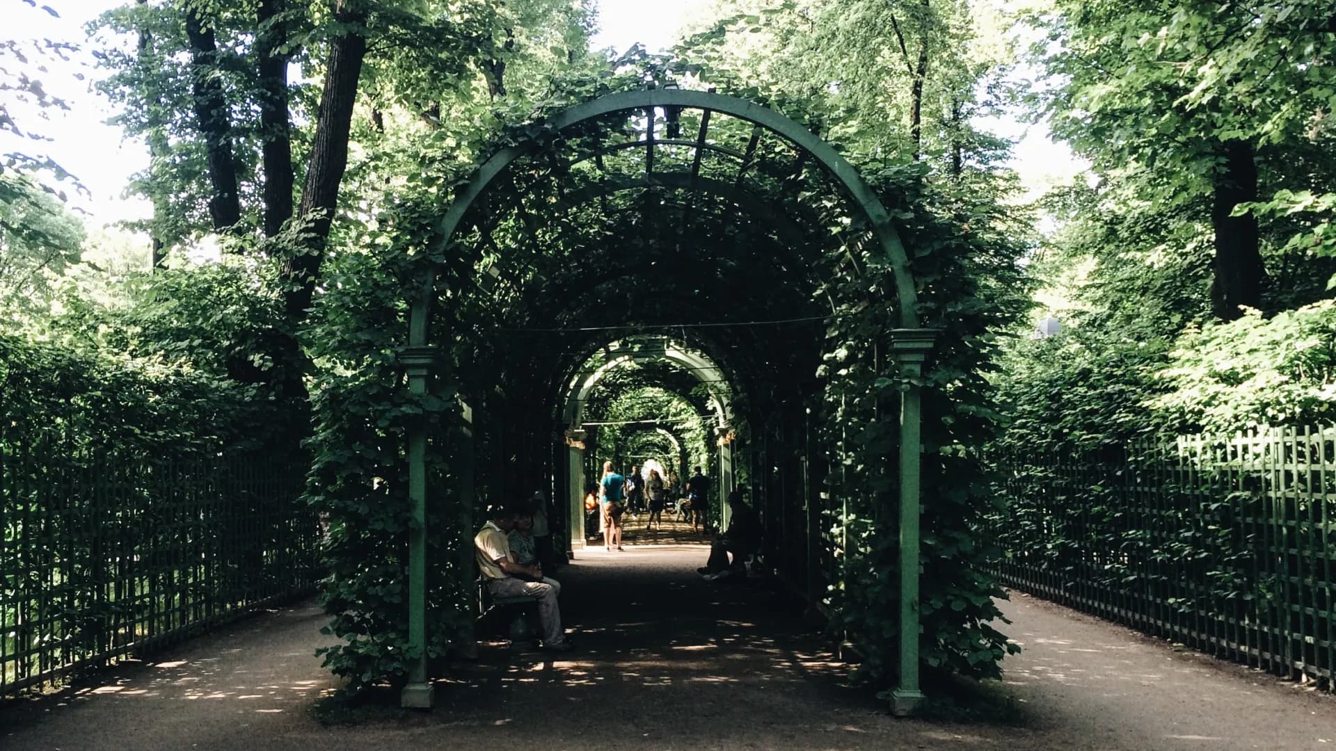 Изображение услуги2