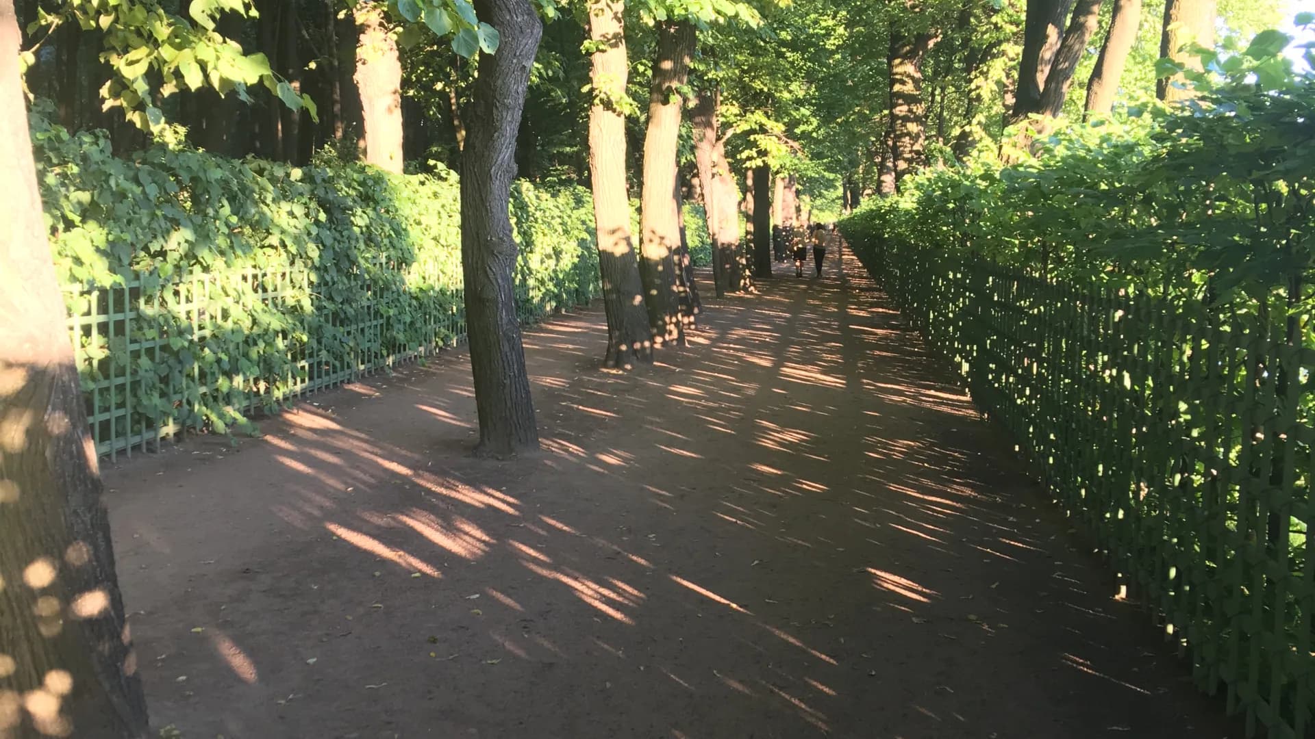 Изображение услуги3