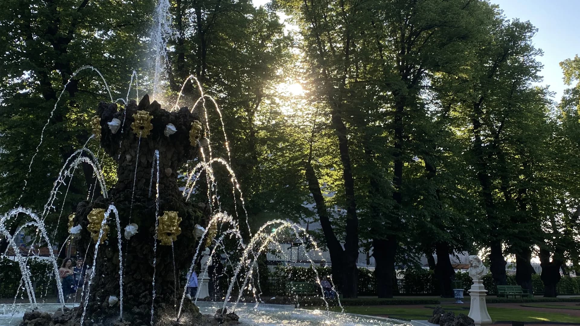 Изображение услуги4