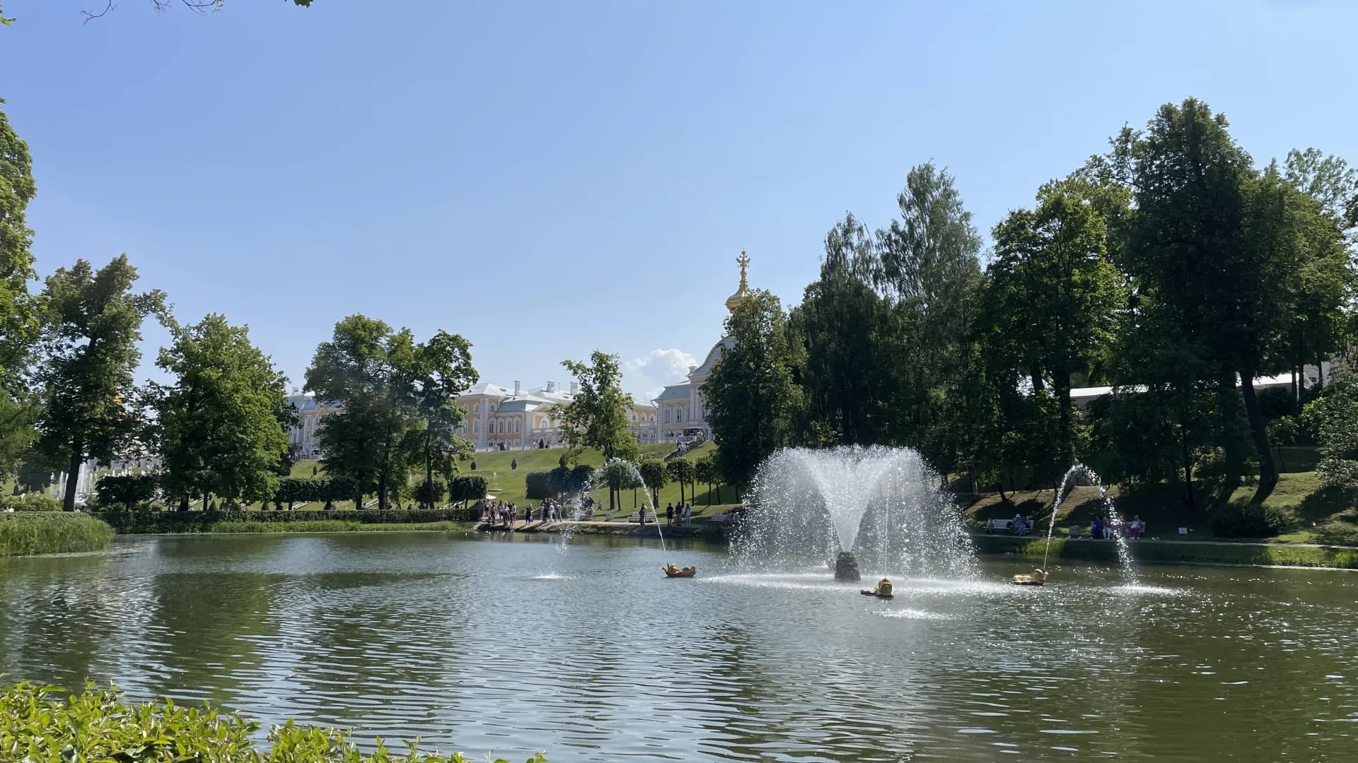 Изображение услуги4