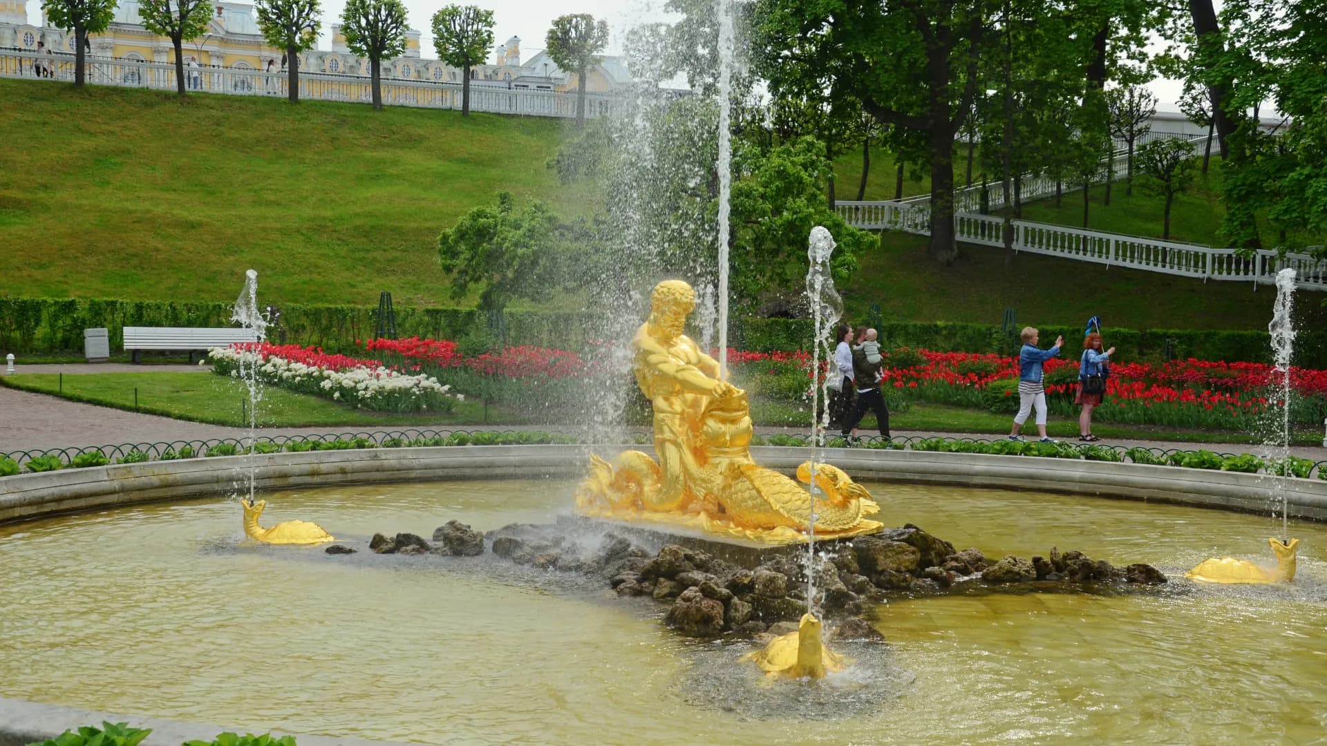 Изображение услуги8