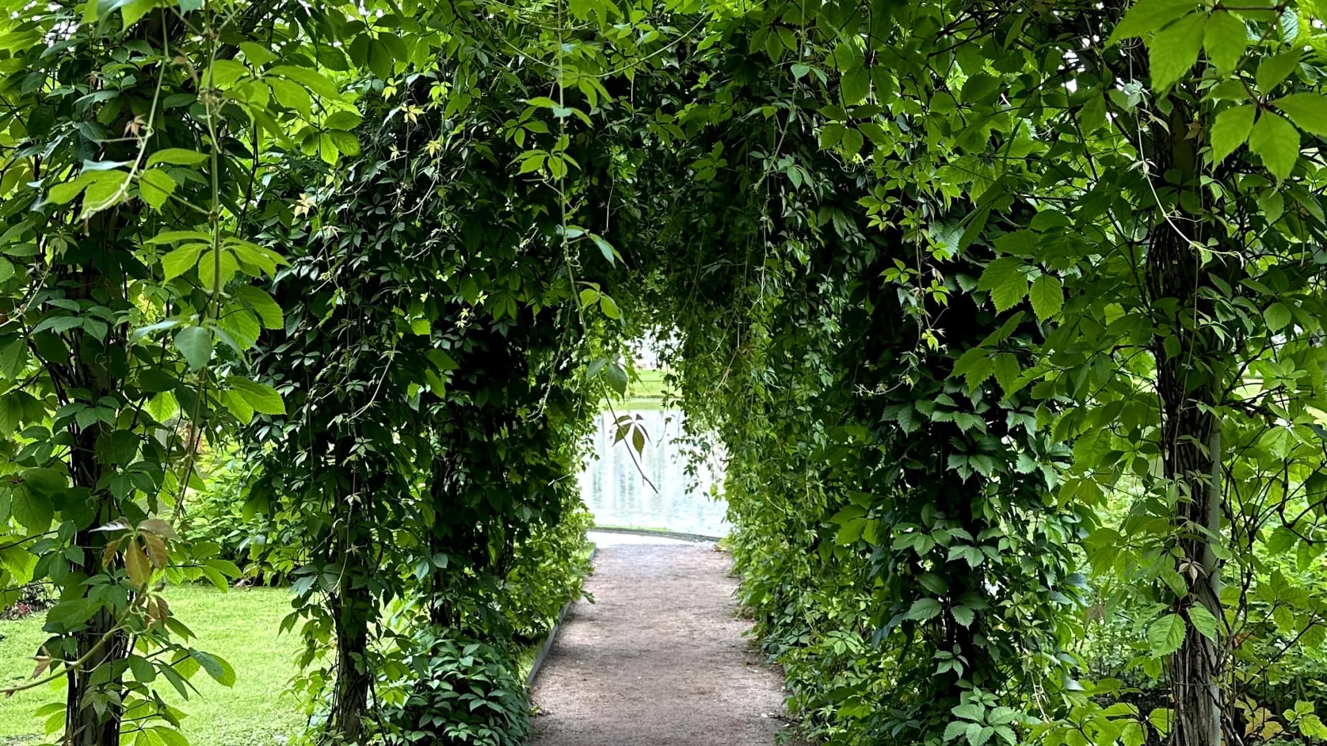 Изображение услуги5