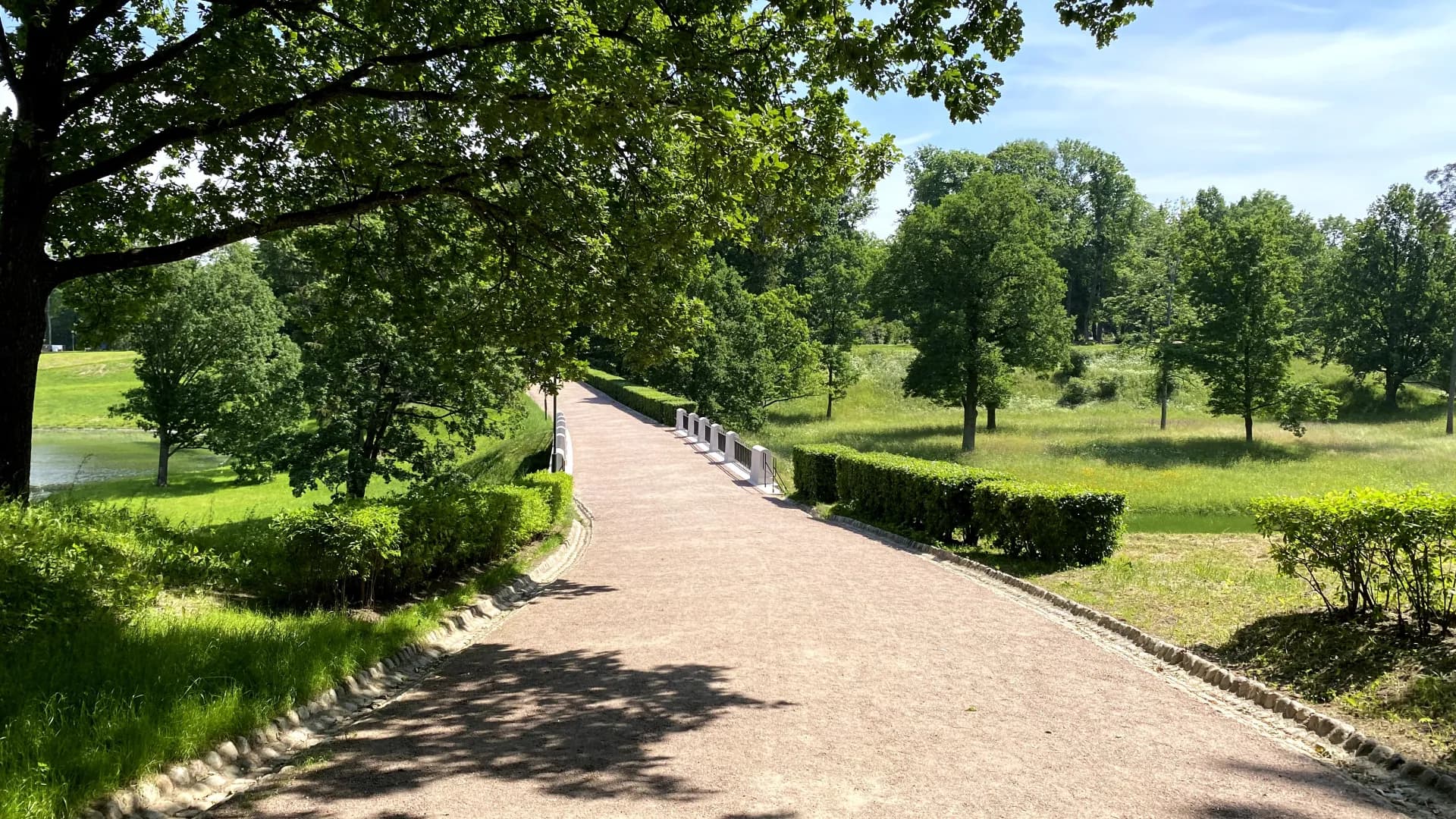 Изображение услуги6