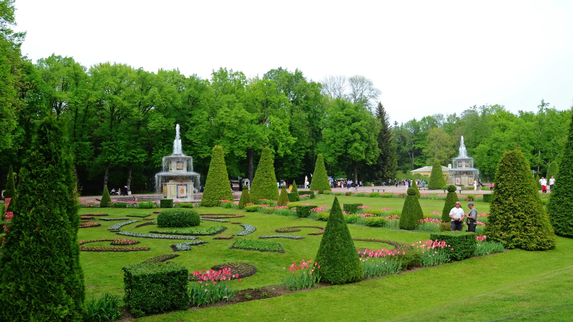 Изображение услуги8