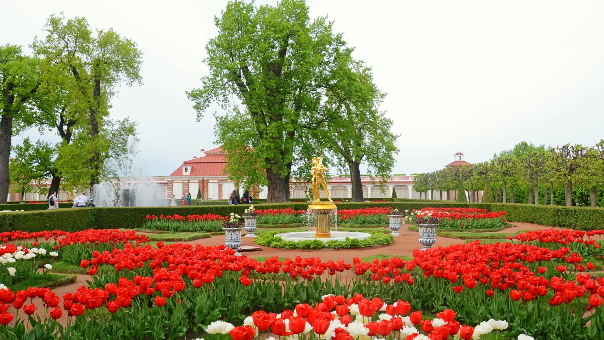 Изображение услуги9