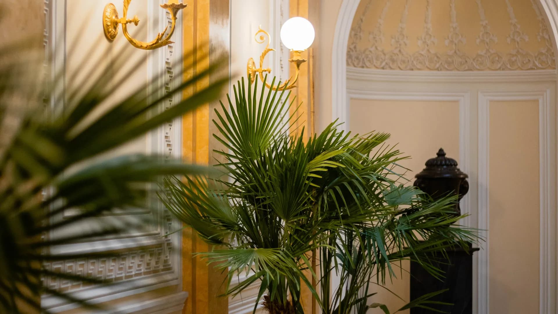 Изображение услуги2