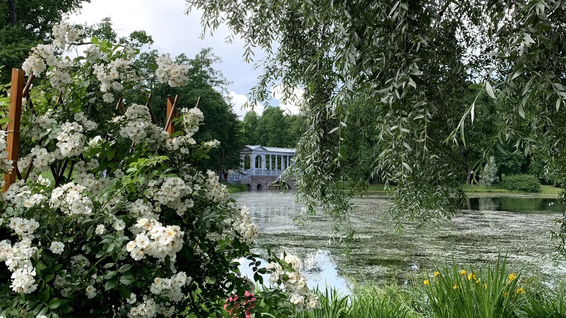 Изображение услуги10