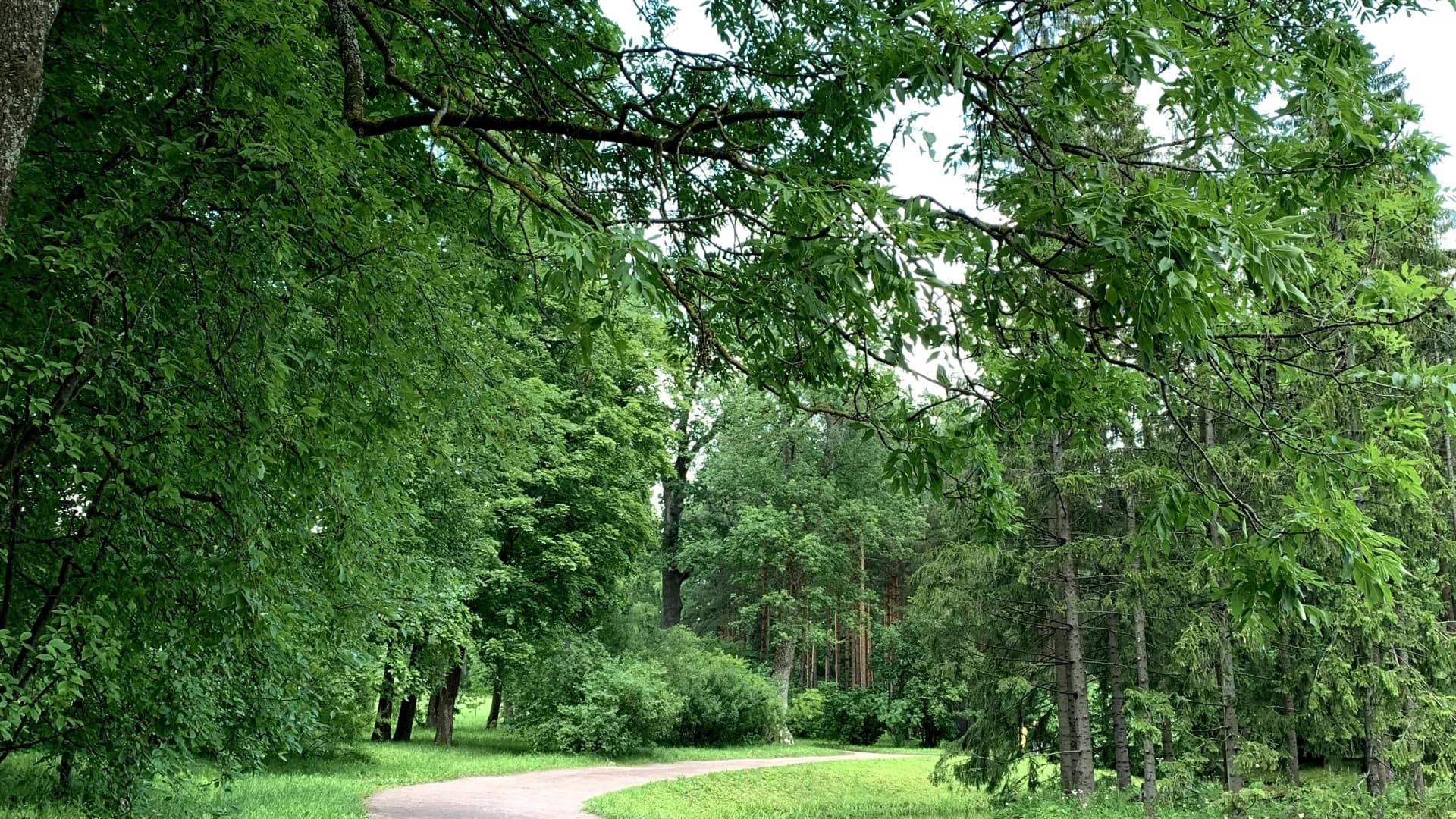 Изображение услуги11