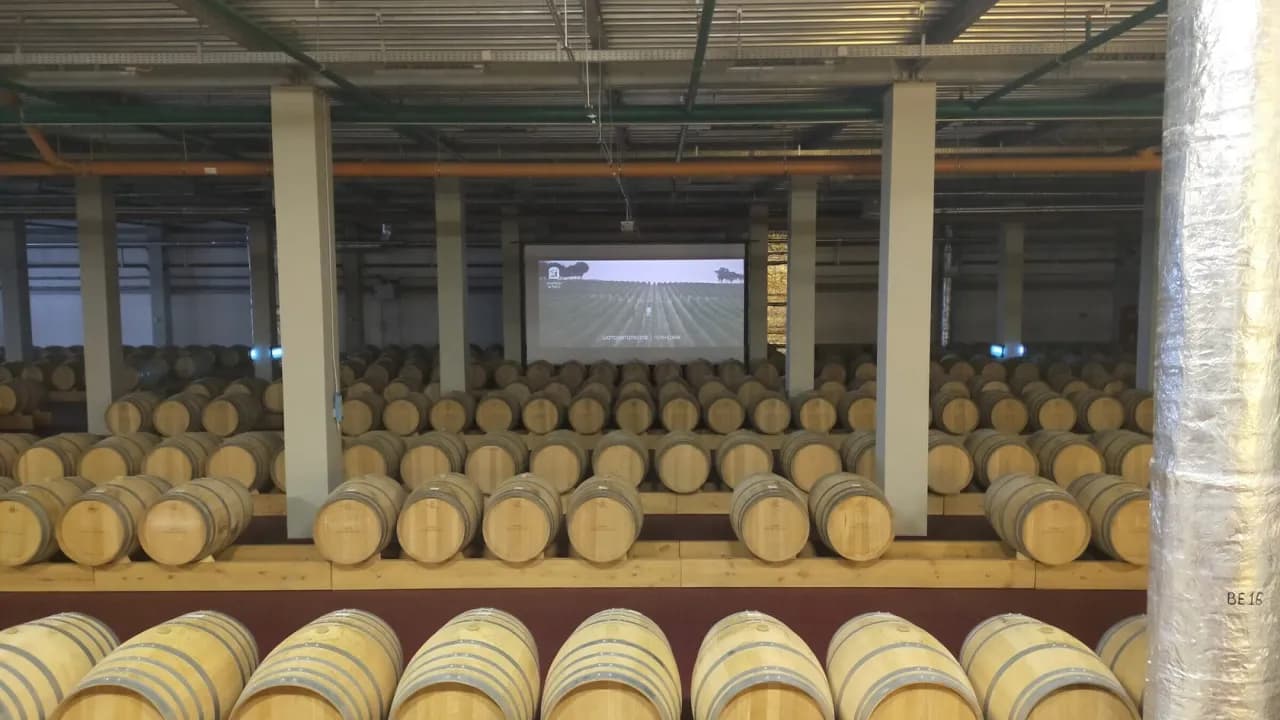 Изображение услуги8