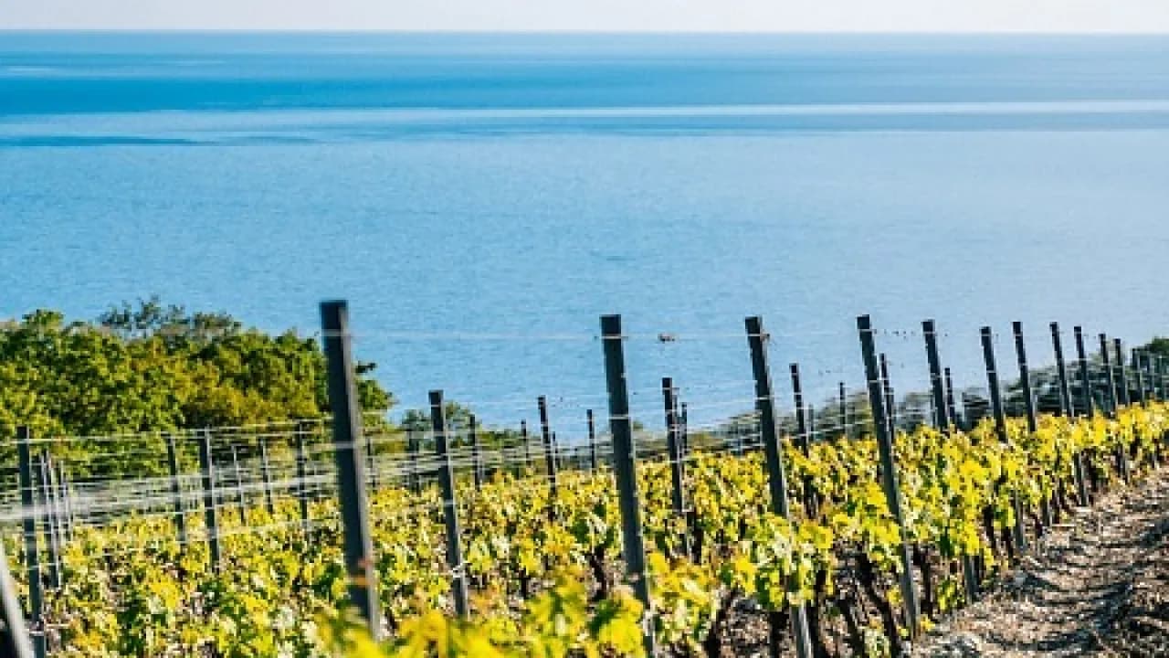 Изображение услуги9