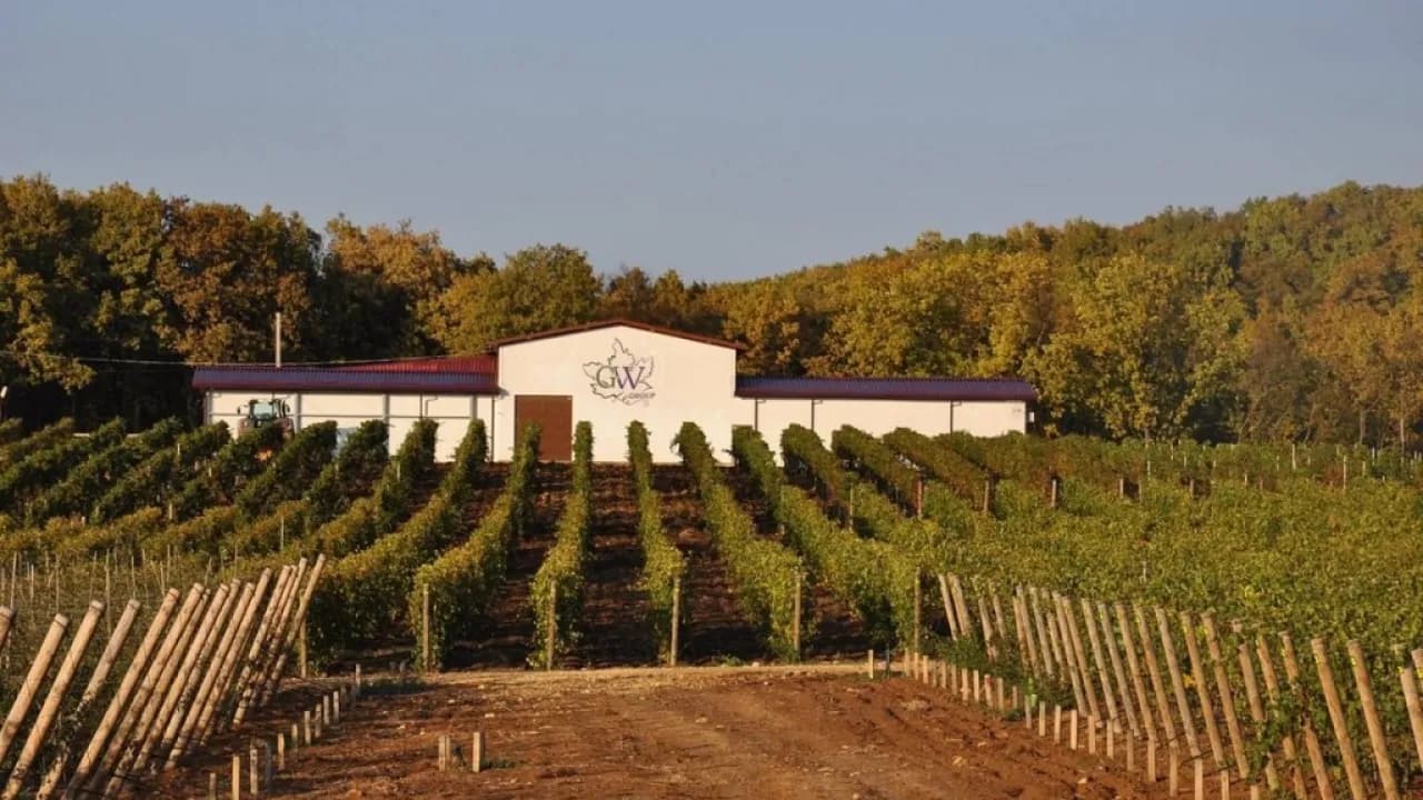 Изображение услуги3