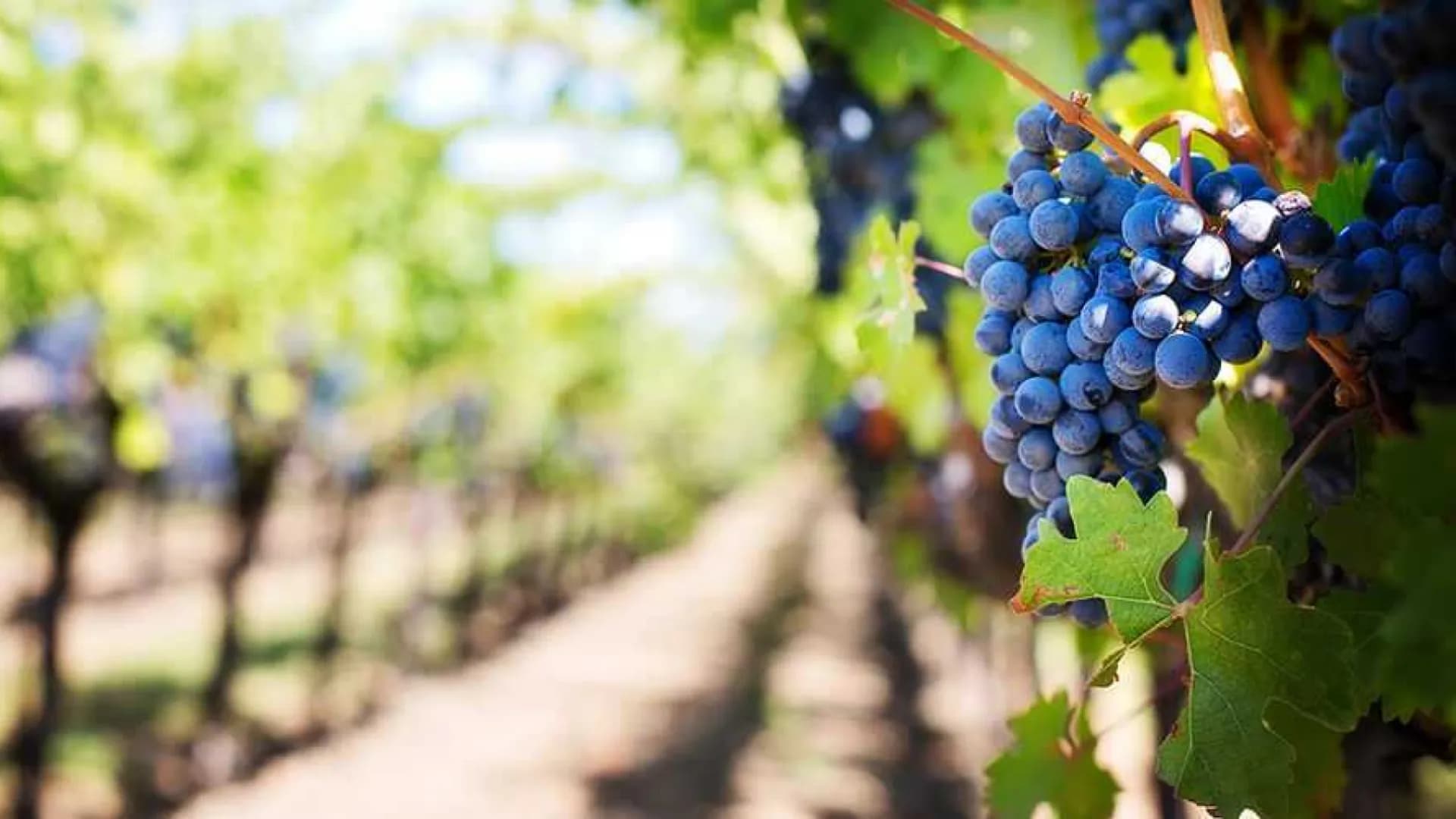 Изображение услуги4