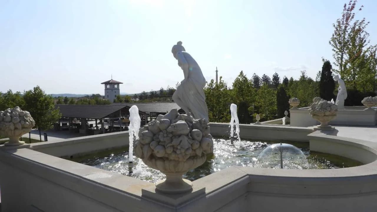 Изображение услуги1