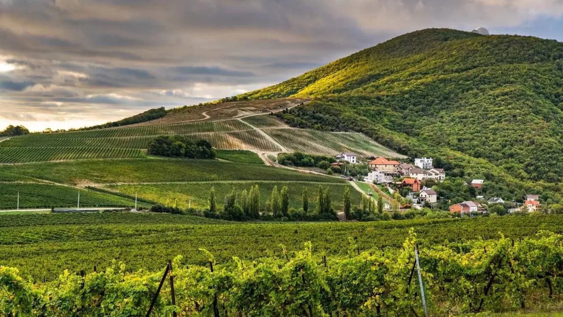 Изображение услуги3