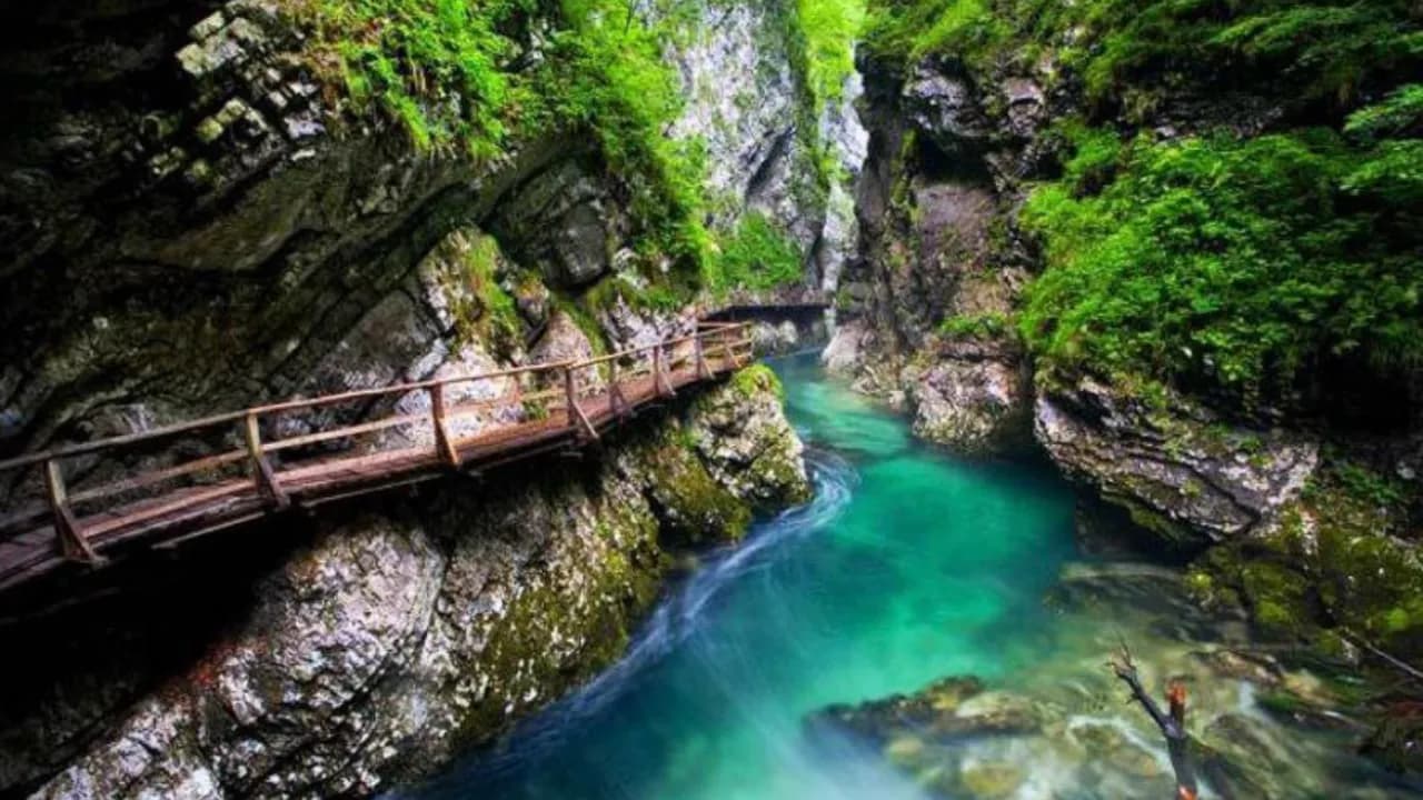 Изображение услуги3