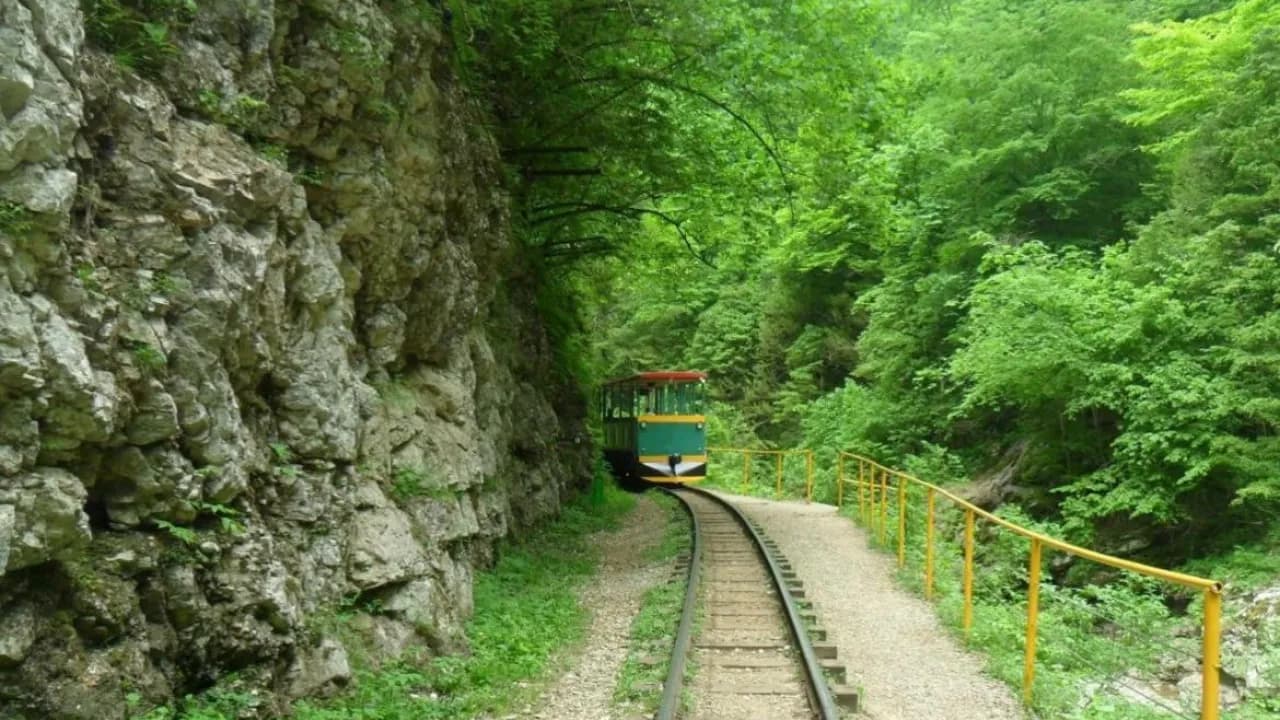 Изображение услуги5