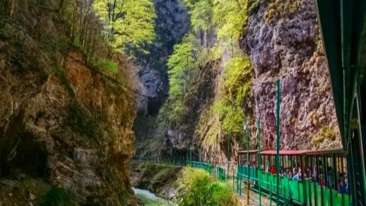 Изображение услуги8