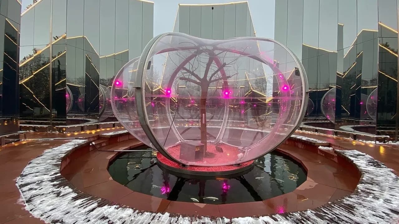 Изображение услуги5