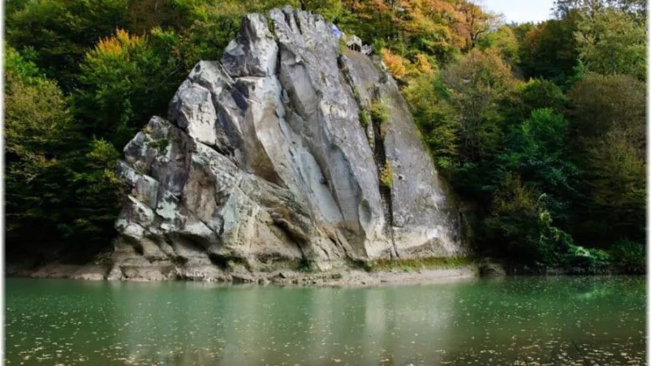 Изображение услуги7