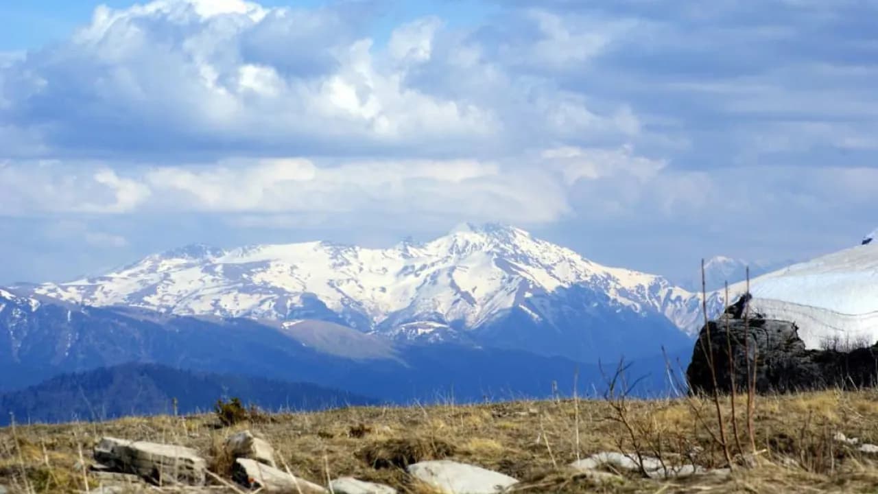 Изображение услуги2