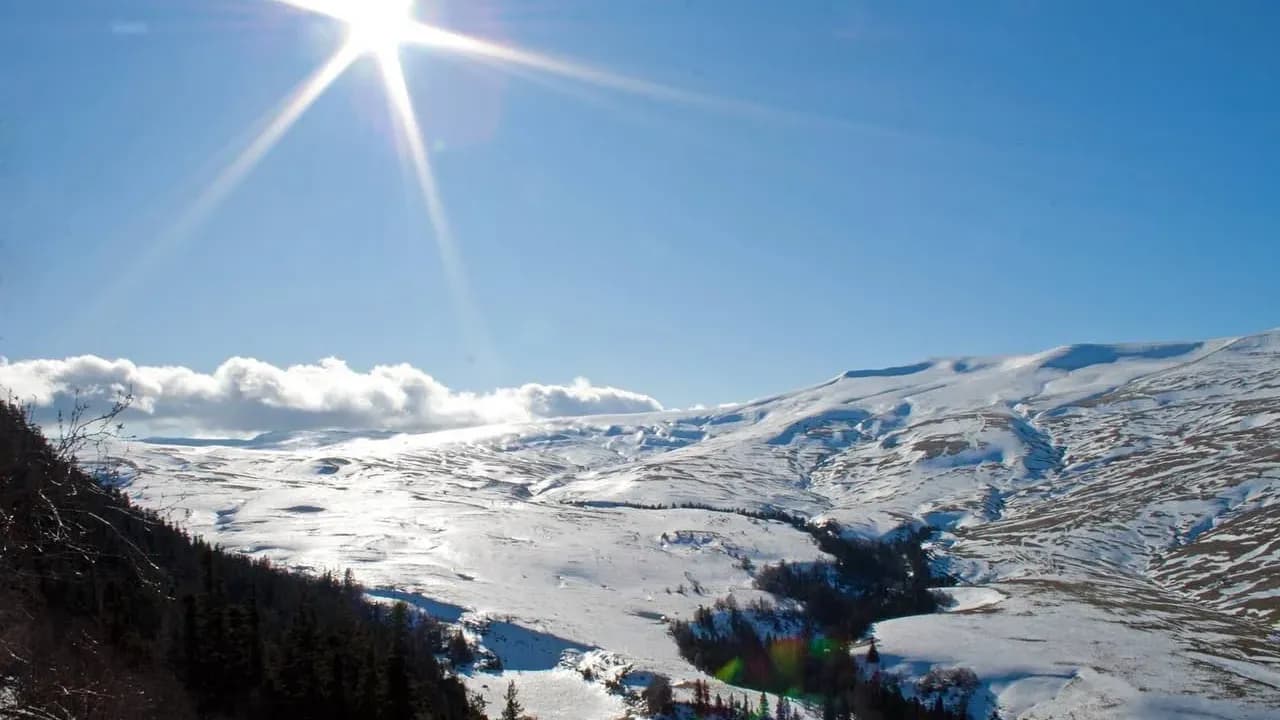 Изображение услуги3