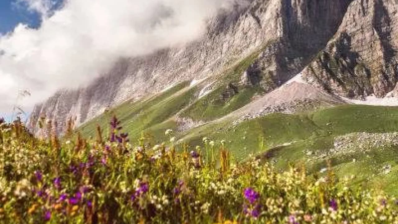 Изображение услуги4