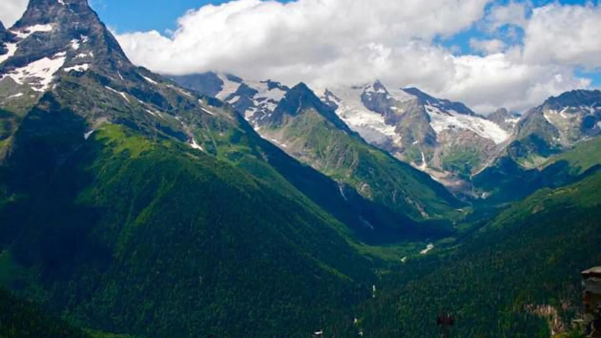 Изображение услуги6