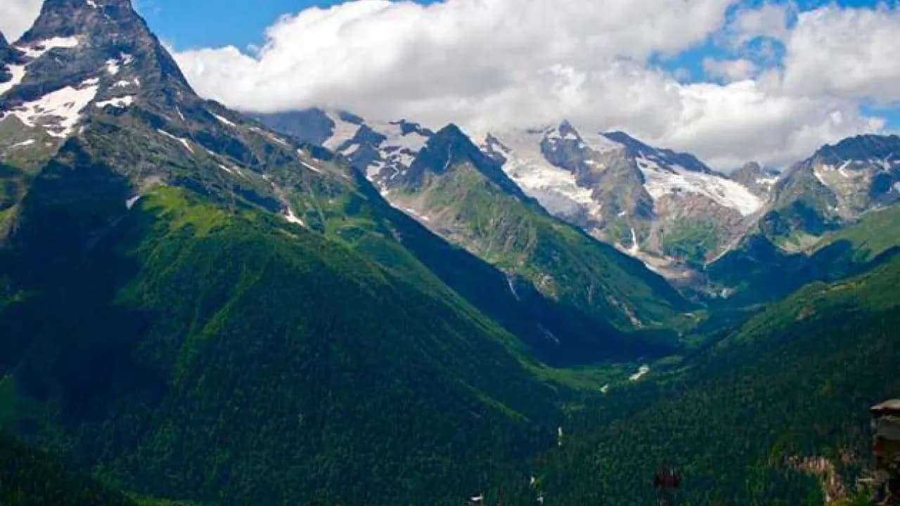 Изображение услуги6