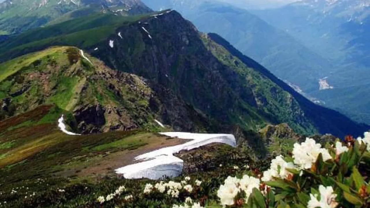 Изображение услуги7