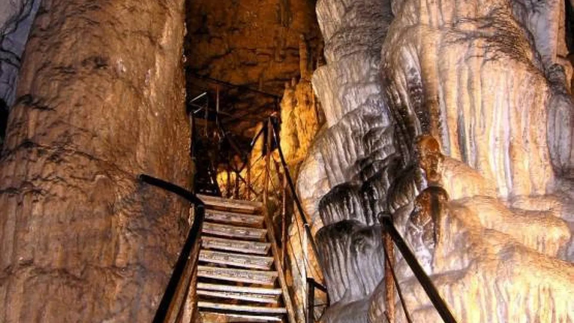 Изображение услуги11